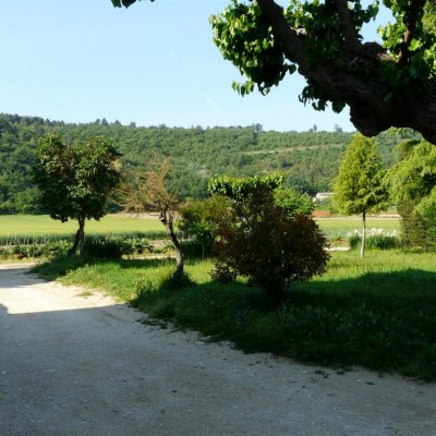 Les champs de l'exploitation agricole